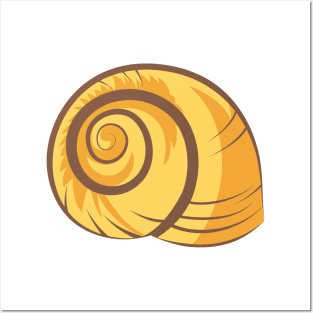 Snail Shell Posters and Art